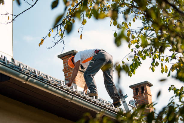 Best Roof Leak Repair  in Wayne, MI