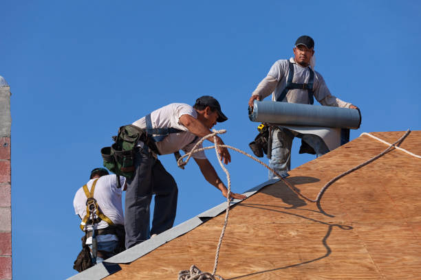 Best Roof Waterproofing Services  in Wayne, MI