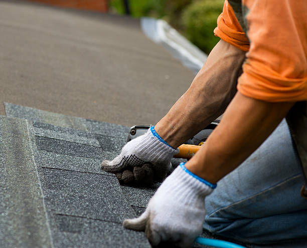Best Storm Damage Roof Repair  in Wayne, MI